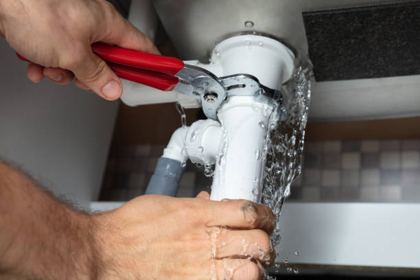 Best 24/7 water damage repair  in Lincoln Park, MI