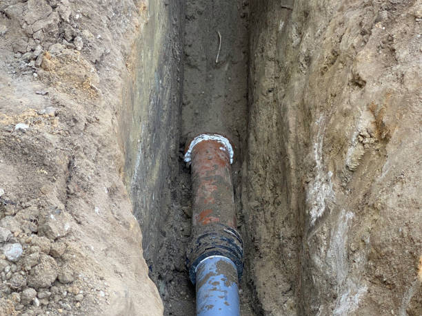 Best Residential water damage restoration  in Lincoln Park, MI