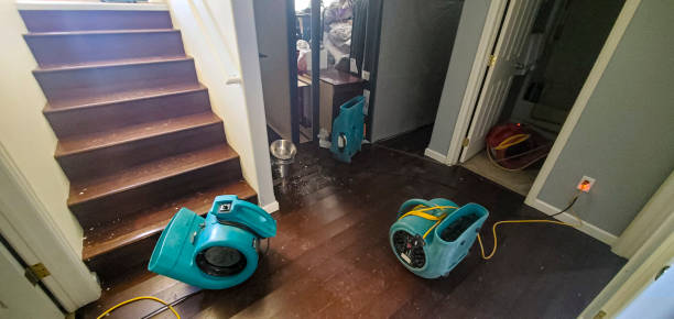 Best Fire Damage Restoration  in Lincoln Park, MI