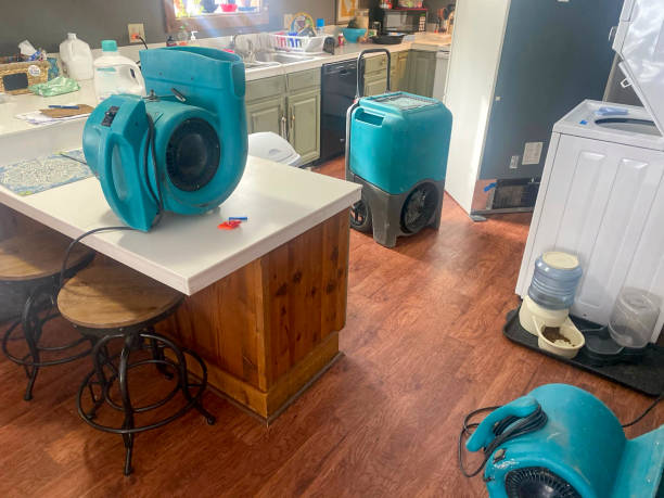 Best Professional water damage repair  in Lincoln Park, MI