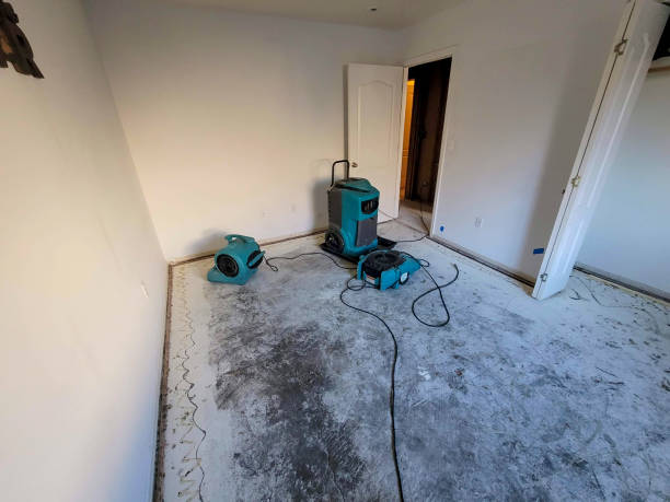 Best 24-hour water damage restoration  in Lincoln Park, MI