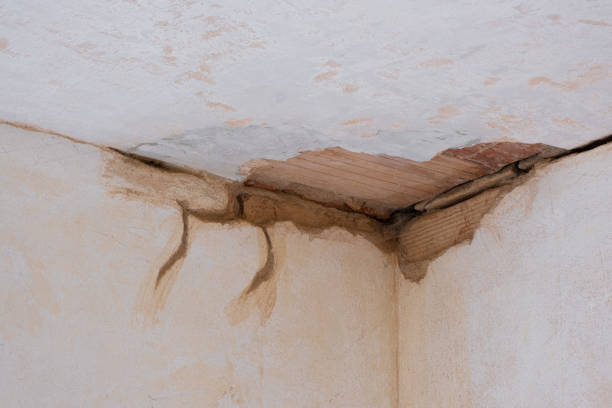 Best Commercial water damage restoration  in Lincoln Park, MI