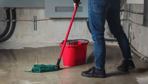  Lincoln Park, MI Water damage restoration Pros
