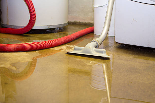 Best Flooded house restoration  in Lincoln Park, MI