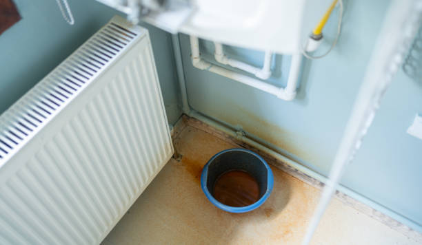 Best Commercial water damage restoration  in Lincoln Park, MI
