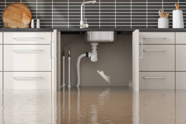 Trusted Lincoln Park, MI Water damage restoration Experts