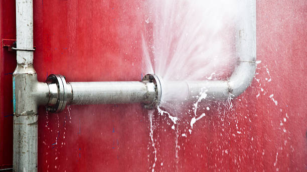 Best Carpet water damage restoration  in Lincoln Park, MI