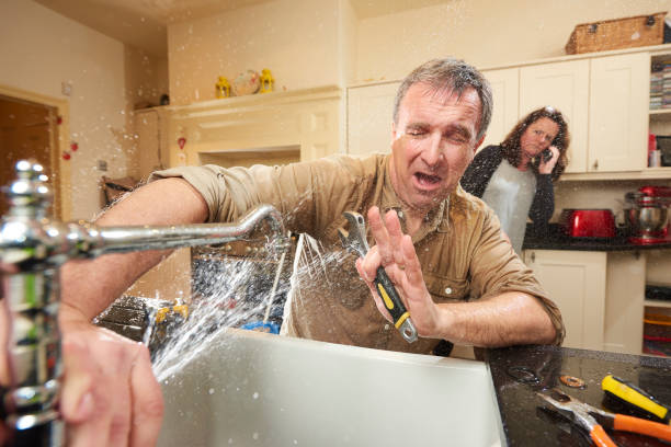 Best Water damage restoration cost  in Lincoln Park, MI